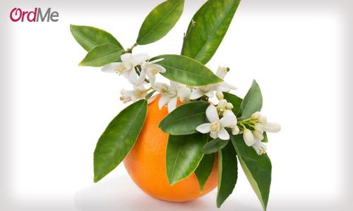 عطر با رایحه بهار نارنج برای درمان افسردگی و وسواس