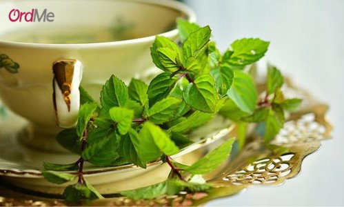 چای سبز بهترین سم‌زدای طبیعی