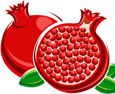 Pomegranate_header_right