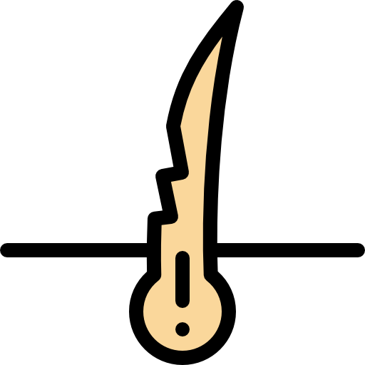 مو چرب
