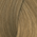 ماسه صحرایی (p2)