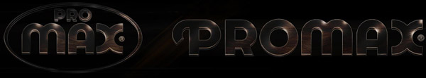 PROMAX logo